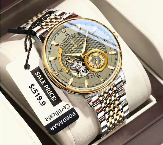 POEDAGAR Top Luxury Men Clock Luminous Hollow Tourbillon Automatic Man Wristwatch Mechanical Stainless Steel Men's Watches Reloj